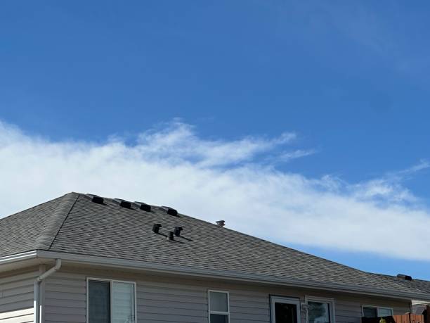 Trusted Los Lunas, NM Roof Repair & Installaion Experts